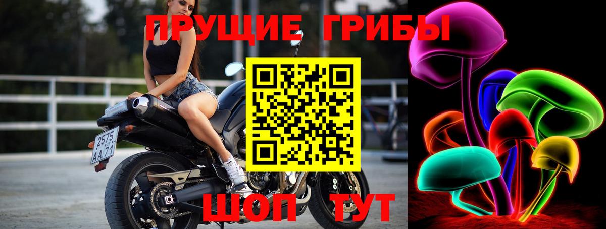 Псилоцибиновые грибы MAGIC MUSHROOMS  Вход с VPN  Прокопьевск 