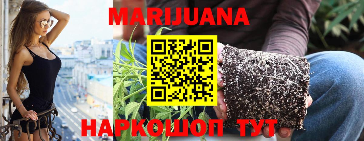 Прокопьевск  Марихуана тримм  Бошки Шишки LSD WEED  Вход с VPN  Бошки Шишки тримм 